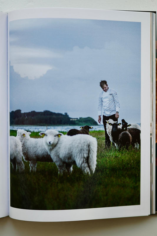 Falsled Kro bog, Politikens Forlag